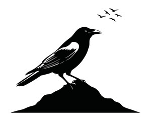 Fototapeta premium Black Crow Silhouette Standing on Ground with Flying Bird