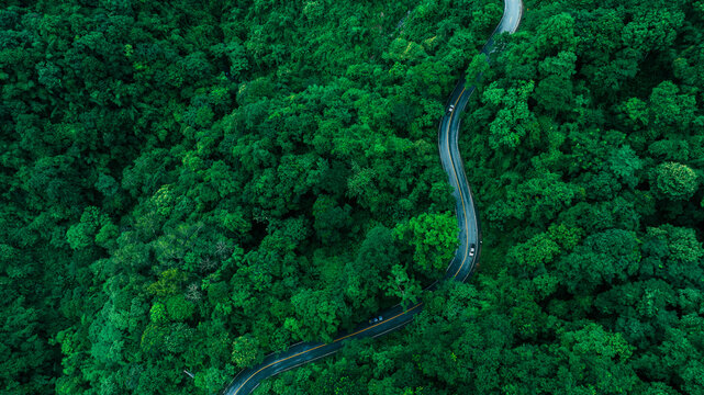 Aerial tropical forest landscape featuring a winding highway, perfect for corporate Sustainability Reports, Green Finance communication, Climate Resilience planning, Renewable Energy investment, and b