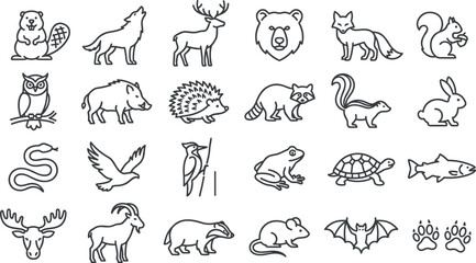 Obraz premium Woodland Animals and Forest Wildlife Line Icons Set with Deer Wolf Bear Fox Owl Raccoon Rabbit and Nature Track Symbols