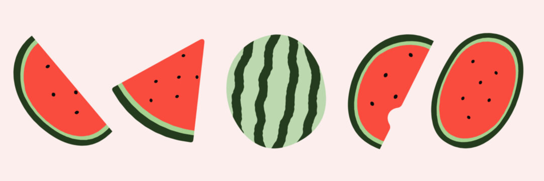 Watermelon Vector Illustration Set