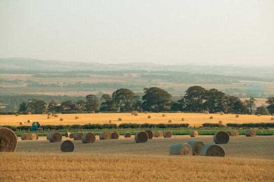 stanning view of wrapped round bales of hay on golden fields 