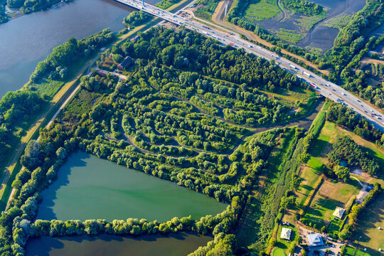 Schierlings Wasserfenchel Anbauhilfe in Hamburg Billwerder Holzhafen