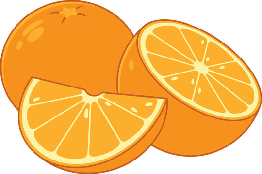Fresh ripe orange vector illustration fruit slice citrus food sweet