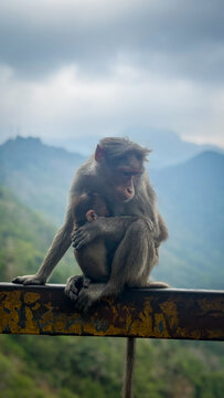 mother and son