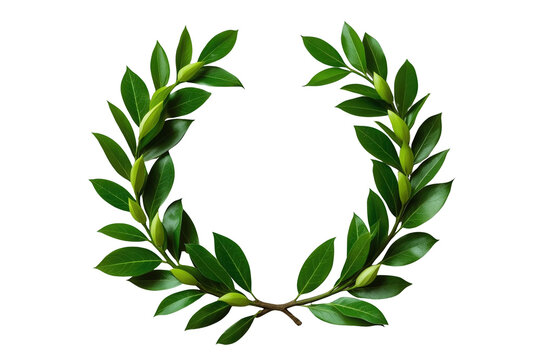 Open Green Laurel Leaf Wreath
