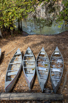 Four canoes waiting by river bank in autumn