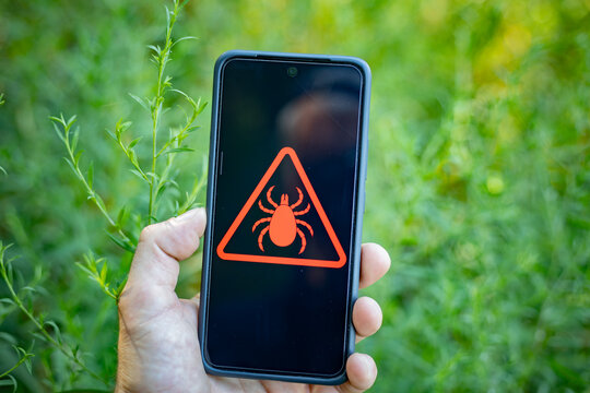 Tick Warning Sign on Smartphone Screen outdoors in Nature