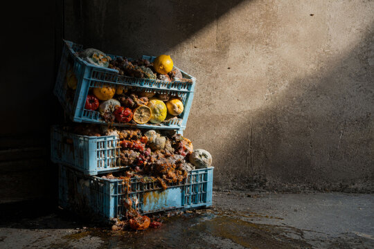 Rotten Fruit and Vegetables in Crates &ndash; Food Loss from Spoilage