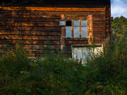 Exterior view of a weathered wooden log cabin featuring a multi-pane window and overgrown green plants and tall grass in the foreground under a clear sky.