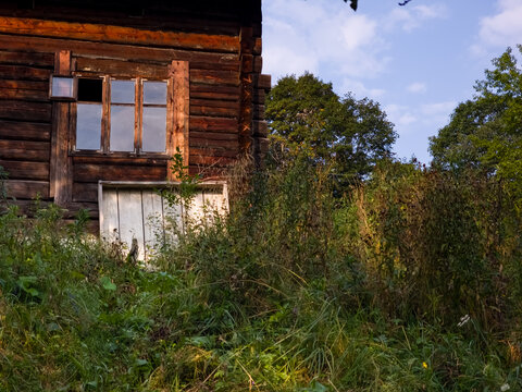 Exterior view of a weathered wooden log cabin featuring a multi-pane window and overgrown green plants and tall grass in the foreground under a clear sky.