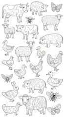 Obraz premium Set of hand drawn farm animals and insects outlines for educational graphic design with butterfly