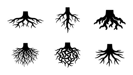 Fototapeta premium Six Black Silhouette Tree Root Systems, Organic Growth Icons, Natural Foundation Vector Art