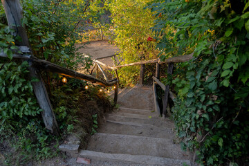 Obraz premium Rustic garden staircase descending through lush green foliage at sunset