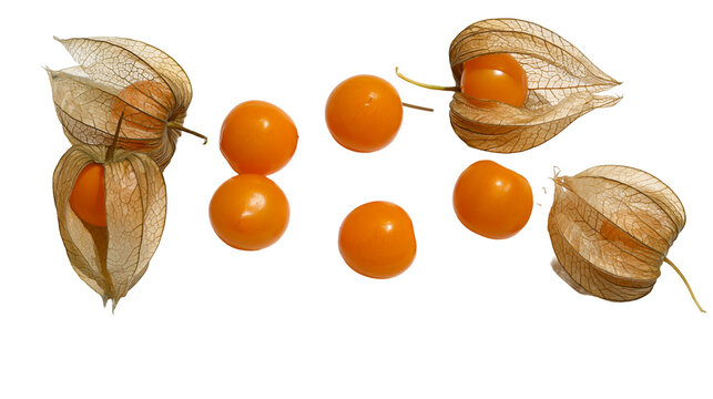 Isolated ripe physalis fruits with papery husks and peeled berries on a clean surface