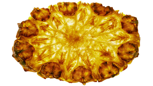 Isolated golden pineapple slice, cross-section with beautiful radial fibrous pattern