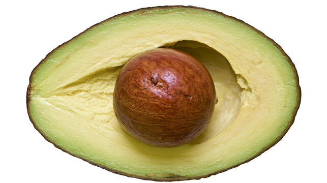 Isolated fresh ripe organic avocado fruit cut in half with the seed, a healthy ingredient