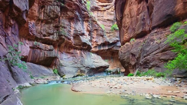 Virgin River flows scenically through the iconic Narrows trail canyon in Zion National Park