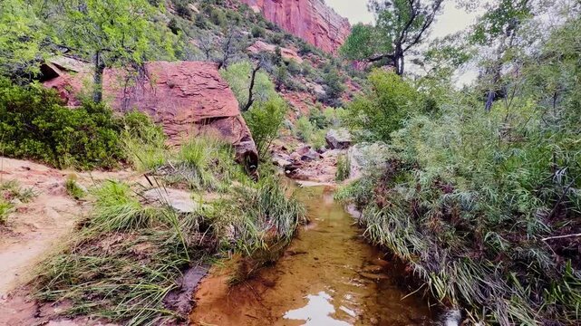 Left Fork North Creek winds through the trail leading toward the iconic Subway landmark in Zion National Park