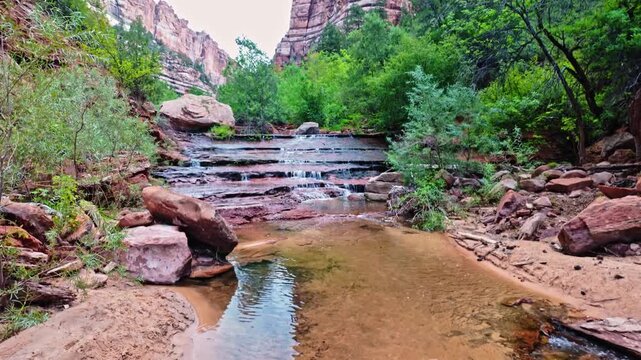 Left Fork North Creek winds through the trail leading toward the iconic Subway landmark in Zion National Park