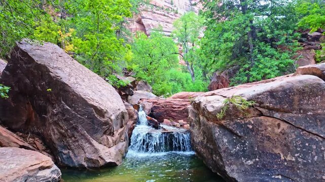 Left Fork North Creek winds through the trail leading toward the iconic Subway landmark in Zion National Park