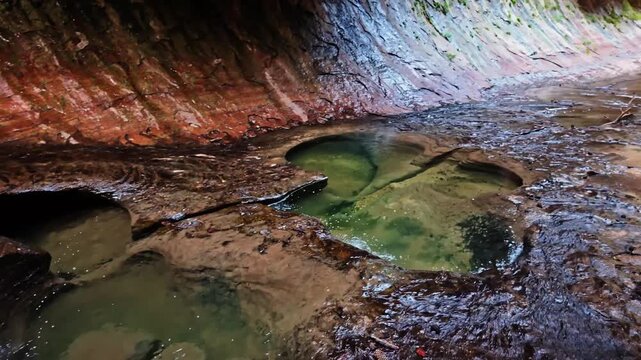 A scenic stream flows through water pools within the iconic Subway formation in Zion National Park
