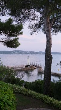 Picturesque view from a garden of a small white lighthouse on a stone jetty during a calm evening, with tranquil water reflecting the sky and hills visible across the bay. Vertical video