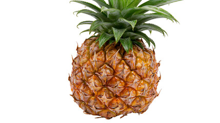Isolated single fresh ripe whole pineapple fruit standing upright with green leaves crown © Vincent