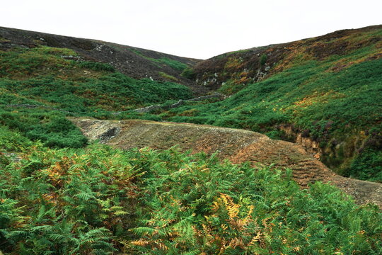 Bleaberry Gill, Swaledale, Yorkshire Dales, North Yorkshire, UK