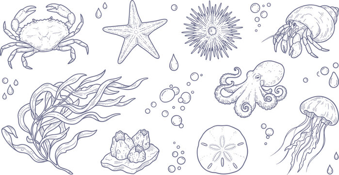Hand Drawn Sea Creature Set with Crab Starfish Octopus and Jellyfish