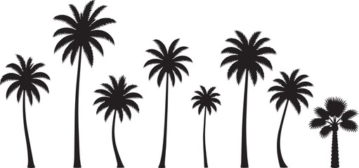 Fototapeta premium Black palm tree silhouettes isolated on a white background
