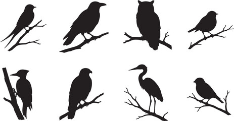 Naklejka premium Collection of various wild bird silhouettes perched on branches