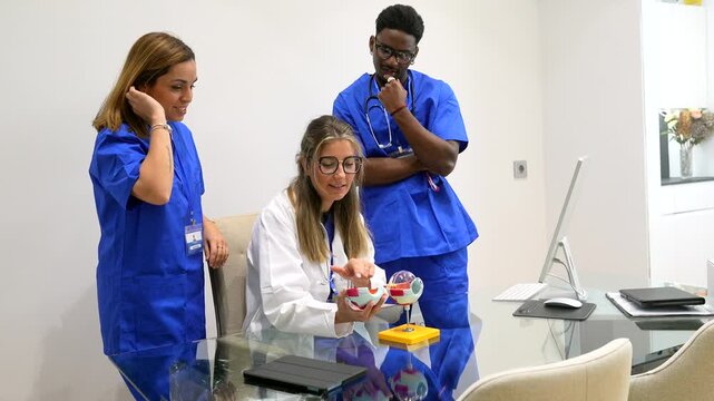 Female ophthalmologist teaching two diverse young interns about the anatomy of the human eye, using a detailed anatomical model during a lesson in a modern medical clinic classroom