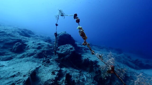 old fish net underwater ghost hunting 4k pollution of oceans driftnets