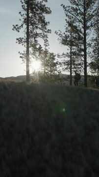 Vertical - Golden Hour Mountain Ridge with Sun Flare and Pine Trees