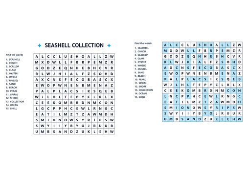 Seashell collection word search puzzle with blue and white design  