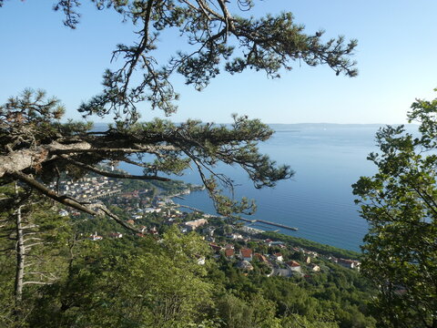 view of trieste from highground