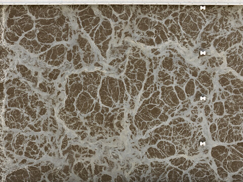 Organic Matter Floating in a Water Treatment Facility Basin During a Bright Day in the Afternoon