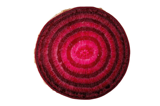 Round red beetroot slice with concentric rings