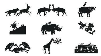 Fototapeta premium Black silhouettes of various wild animals.