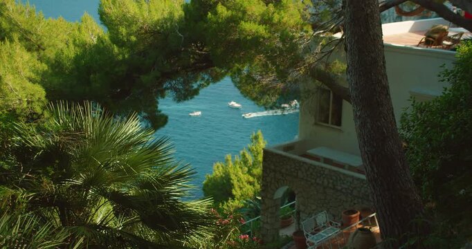 Mediterranean villa hidden among pine and palm above blue sea with boat in summer Capri