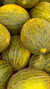 melons in the market