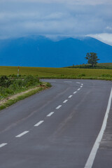 日本　北海道美瑛町・美しいカーブを描く丘の道路の先に佇む一本の木と雄大な山並み © pespiero