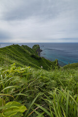 日本　北海道積丹町・瑞々しい夏の野草に覆われた神威岬の丘と雄大な岬の全景 © pespiero