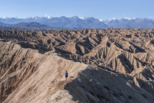 Hiker walking along a canyon, Tian Shan mountains in the background, eroded hilly landscape, Badlands, Valley of the Forgotten Rivers, near Bokonbayevo, Yssykk&ouml;l, Kyrgyzstan