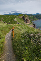 日本　北海道積丹町・豊かな夏の野草が広がる丘をうねるように続く神威岬の遊歩道 © pespiero