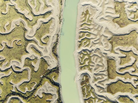 Network of channels and streams at low tide. In the marshland of the Bah&iacute;a de C&aacute;diz Nature Reserve. Aerial view. Drone shot. C&aacute;diz province, Andalusia, Spain