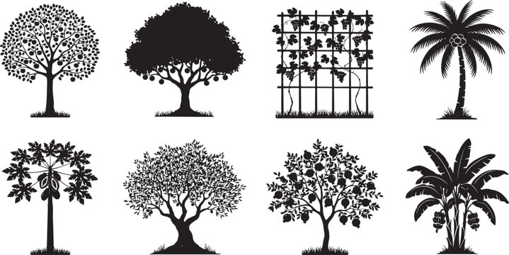 Various fruit trees and plants collection apple orange grape palm banana papaya citrus trees silhouette garden elements.
