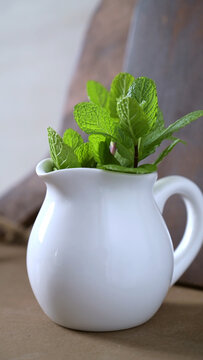 Fresh Mint Leaves in a White Ceramic Pitcher