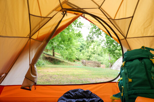 View from inside tent on beautiful forest