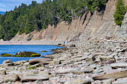 Canada, 26 August 2026 : A solitary person walks along a rocky shoreline beneath steep eroding cliffs topped with dense forest